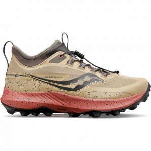 Brown Saucony Peregrine 13 ST Women's Trail Running Shoes | EGYPT HVXYAM