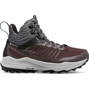 Brown Saucony Ultra Ridge GTX Women's Trail Running Shoes | EGYPT HGJEDQ