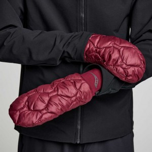 Burgundy Saucony Oysterpuff Men's Mitt | EGYPT MOKEAT