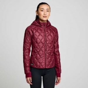 Burgundy Saucony Solstice Oysterpuff Women's Jacket | EGYPT LVPJMA