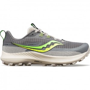 Grey Saucony Peregrine 13 Men's Trail Running Shoes | EGYPT KJNFUG