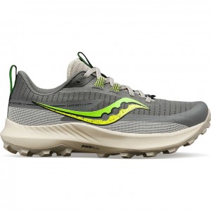 Grey Saucony Peregrine 13 Women's Trail Running Shoes | EGYPT HOMNTD