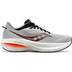 Grey Saucony Triumph 21 Men's Running Shoes | EGYPT TFBIPD