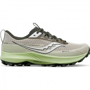 Grey / Mint Saucony Peregrine 13 GTX Men's Running Shoes | EGYPT MIECHP