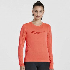 Orange Saucony Stopwatch Graphic Long Sleeve Women's T-Shirt | EGYPT DZXBQM