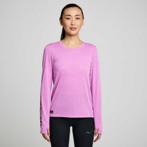 Purple Saucony Stopwatch Graphic Long Sleeve Women's T-Shirt | EGYPT TLKVHY