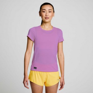 Purple Saucony Stopwatch Short Sleeve Women's T-Shirt | EGYPT MQAVNX