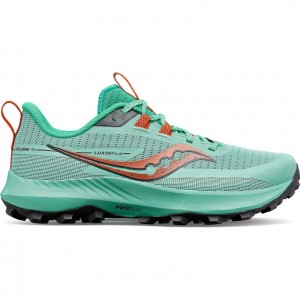 Turquoise Saucony Peregrine 13 Women's Trail Running Shoes | EGYPT OKNHQC