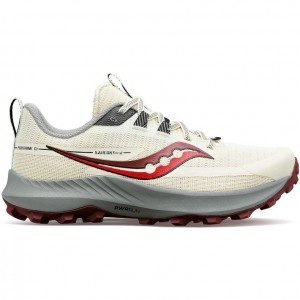 White Saucony Peregrine 13 Women's Trail Running Shoes | EGYPT XJMTWP