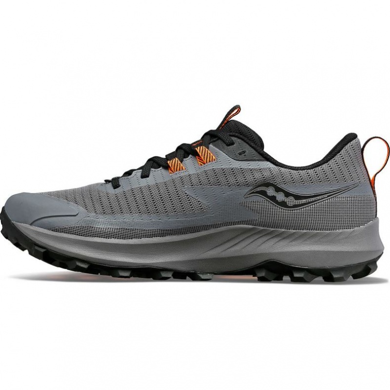 Grey Saucony Peregrine 13 GTX Men's Trail Running Shoes | EGYPT QTWENX