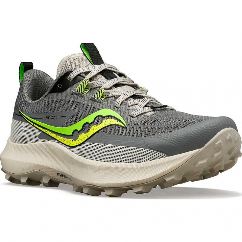 Grey Saucony Peregrine 13 Women's Trail Running Shoes | EGYPT HOMNTD