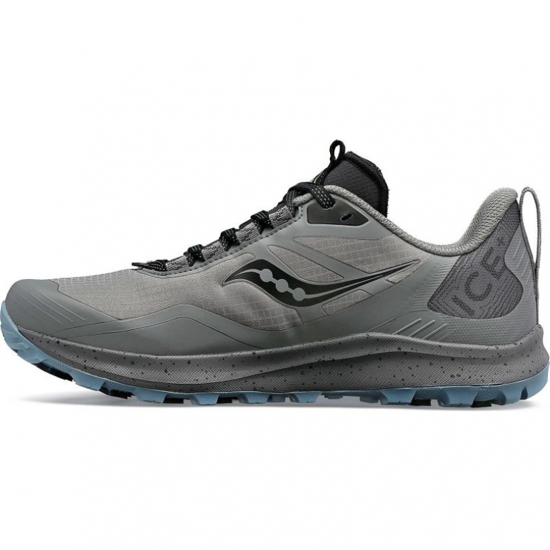 Grey Saucony Peregrine ICE+ 3 Women's Trail Running Shoes | EGYPT AFISKO