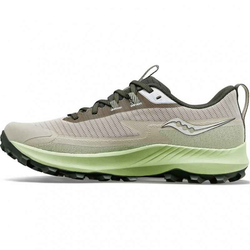 Grey / Mint Saucony Peregrine 13 GTX Men's Running Shoes | EGYPT MIECHP