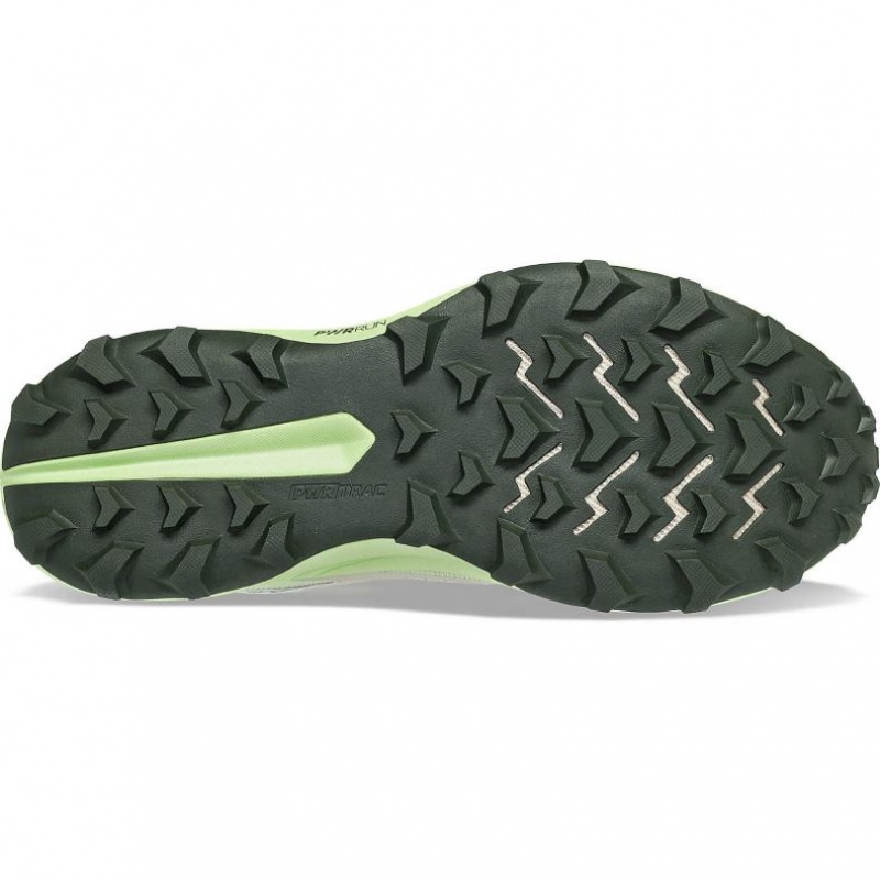 Grey / Mint Saucony Peregrine 13 GTX Men's Running Shoes | EGYPT MIECHP