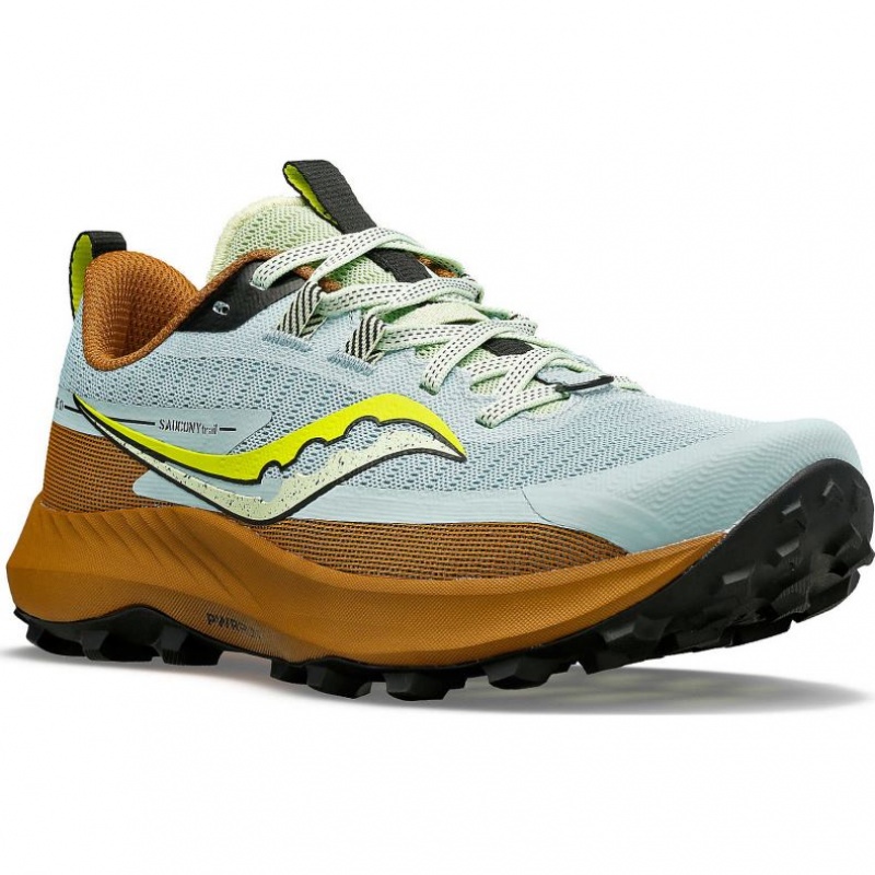 Light Blue / Brown Saucony Peregrine 13 Women's Trail Running Shoes | EGYPT HXOJEK