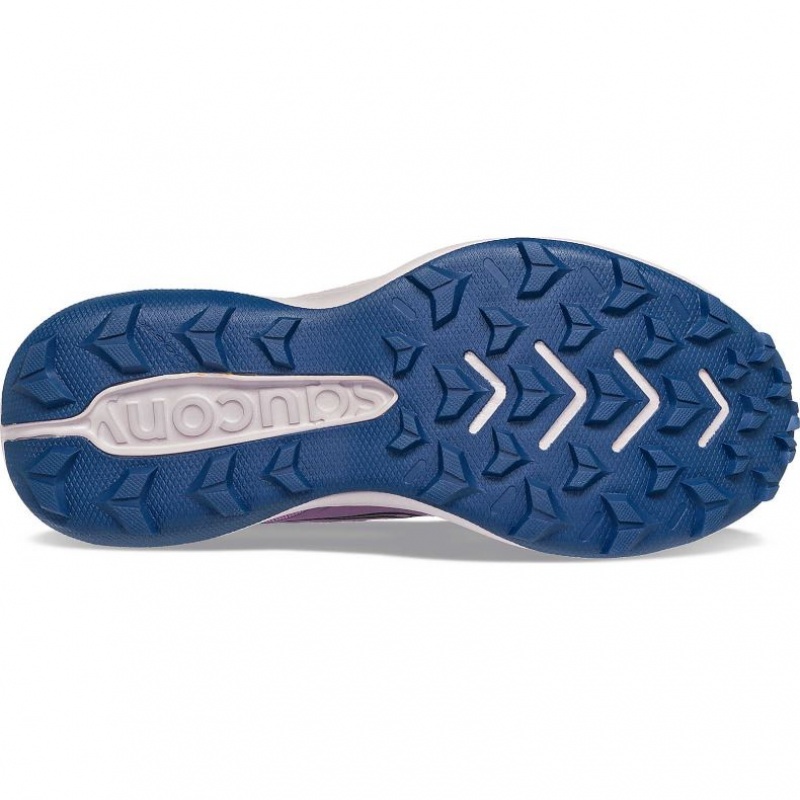 Purple Saucony Blaze TR Women's Trail Running Shoes | EGYPT BNCGUA