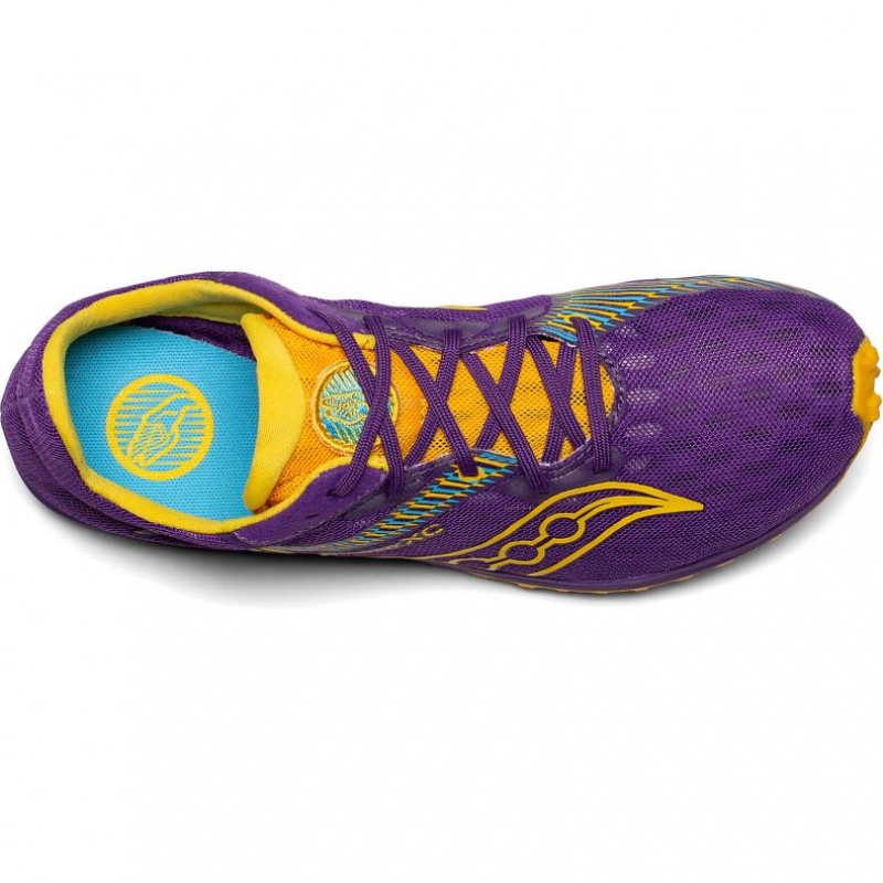 Purple Saucony Kilkenny XC9 Women's Spikes | EGYPT RFAMGH