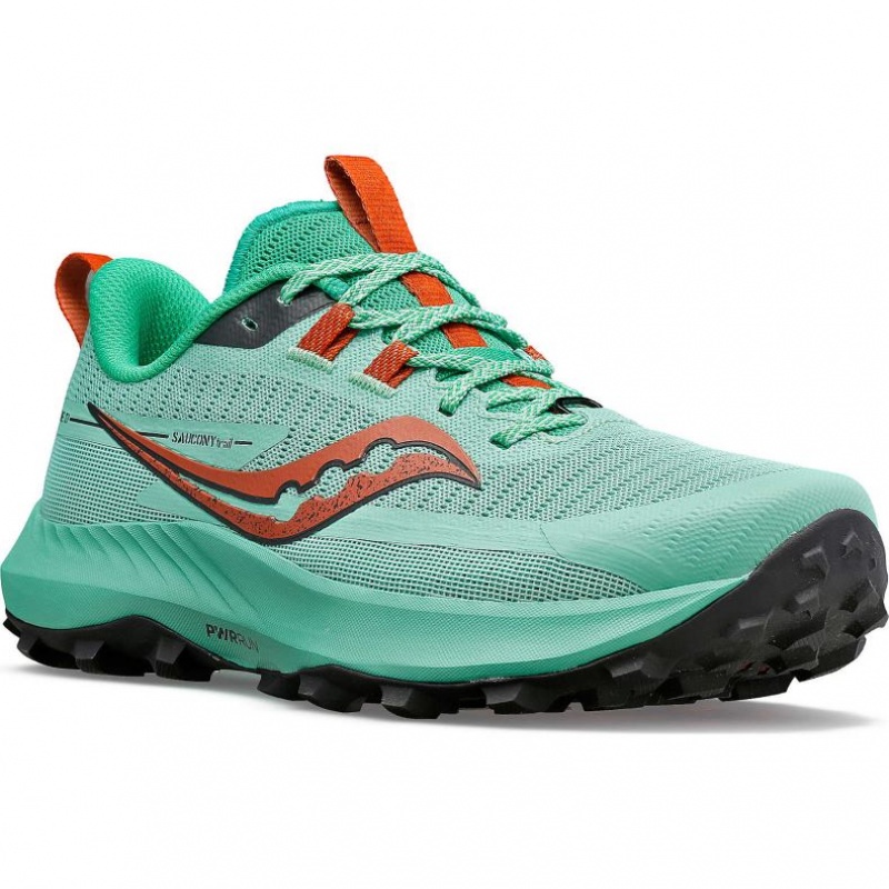 Turquoise Saucony Peregrine 13 Women's Trail Running Shoes | EGYPT OKNHQC