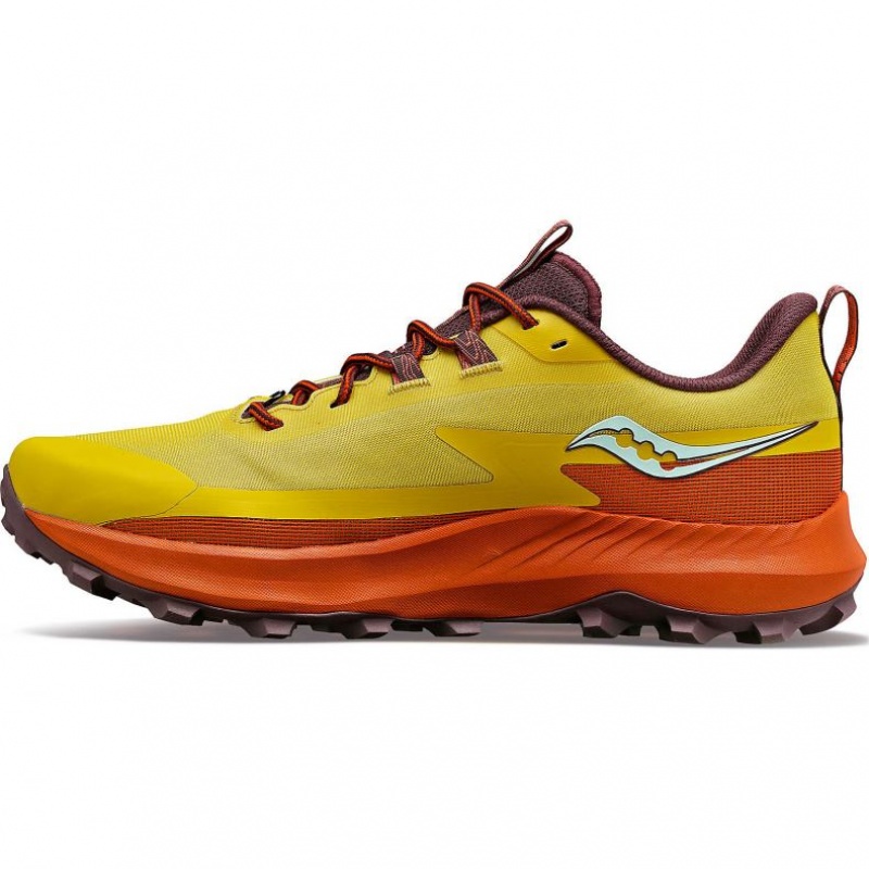 Yellow Saucony Peregrine 13 Women's Trail Running Shoes | EGYPT QKWPHR